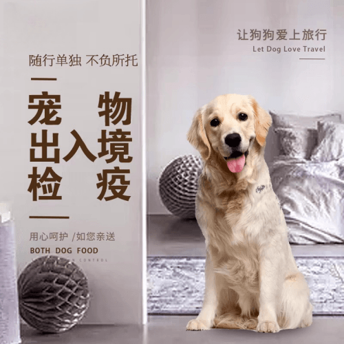 苏州宠物托运到哥伦比亚猫狗宠物入境规定和