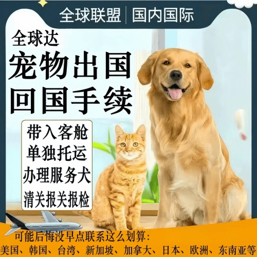 苏州宠物托运到柬埔寨宠物入境规定和要求