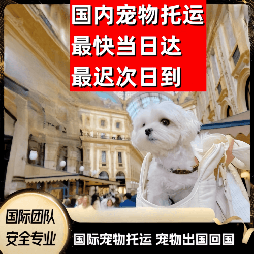 苏州到澳大利亚（澳洲）宠物入境规定和要求