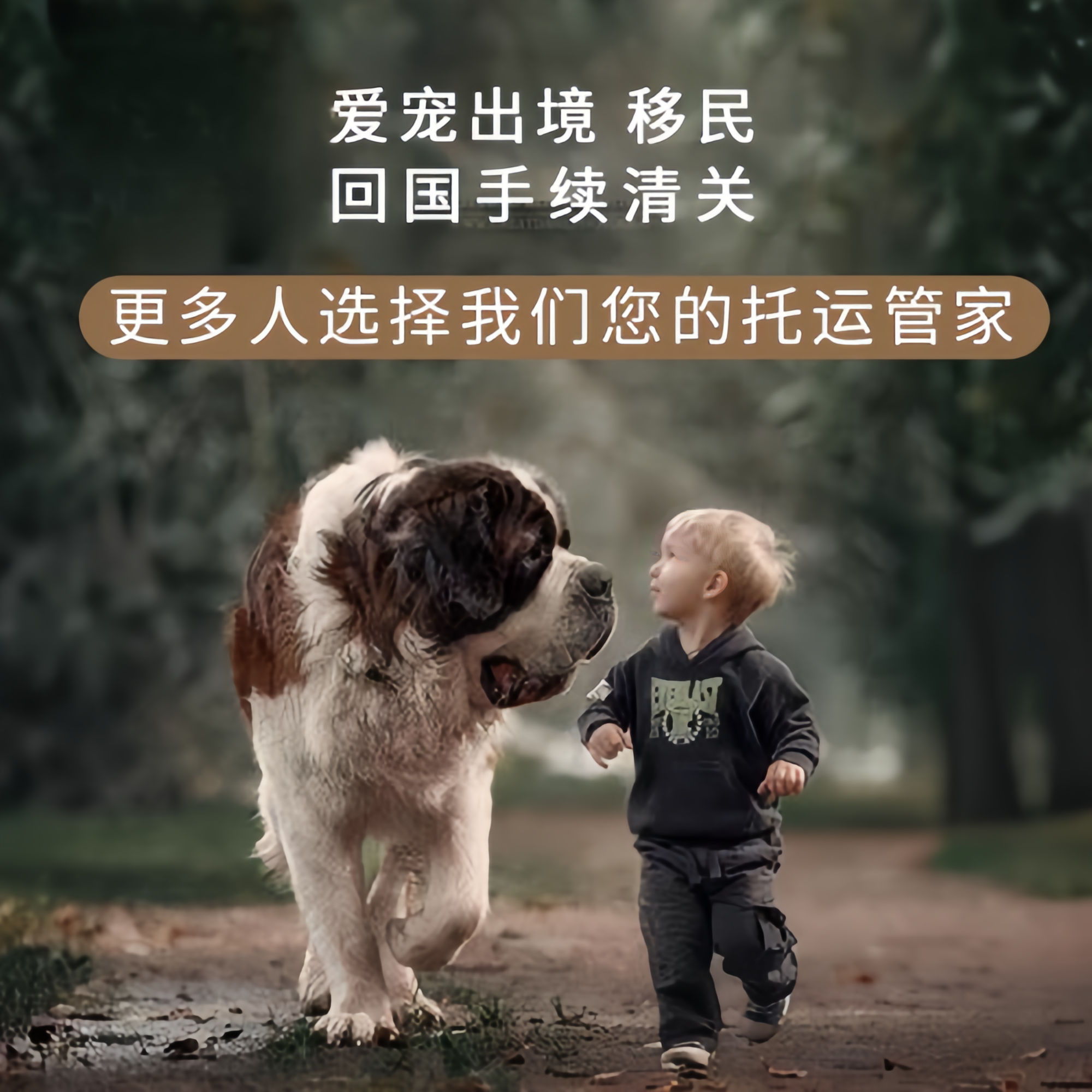 满财苏州宠物全球达宠物托运在遵守入境目的地政策的条件
