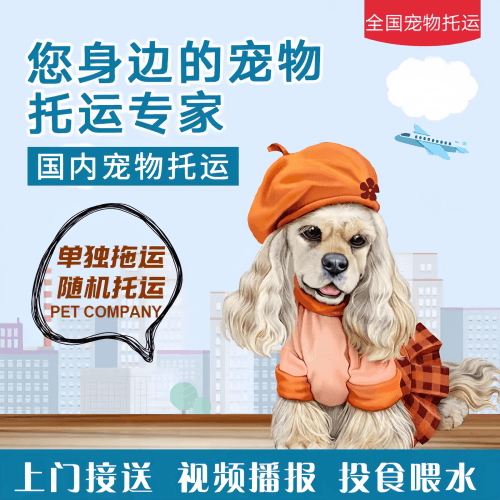 满财苏州宠物全球达宠物托运作为专业的宠物运输代理机构